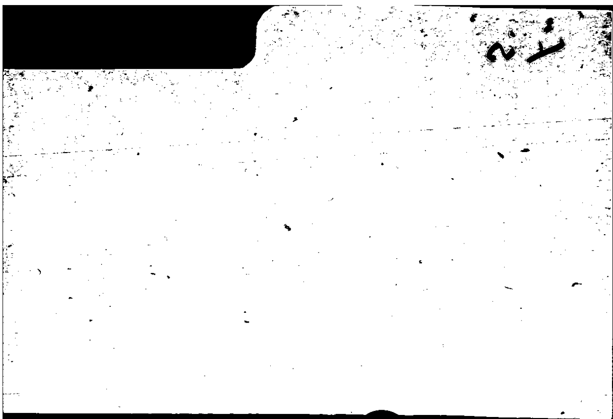 Filecard Arist.Part-anim.32258