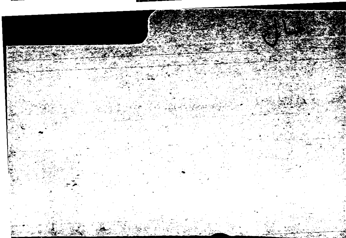 Filecard Arist.Part-anim.40001