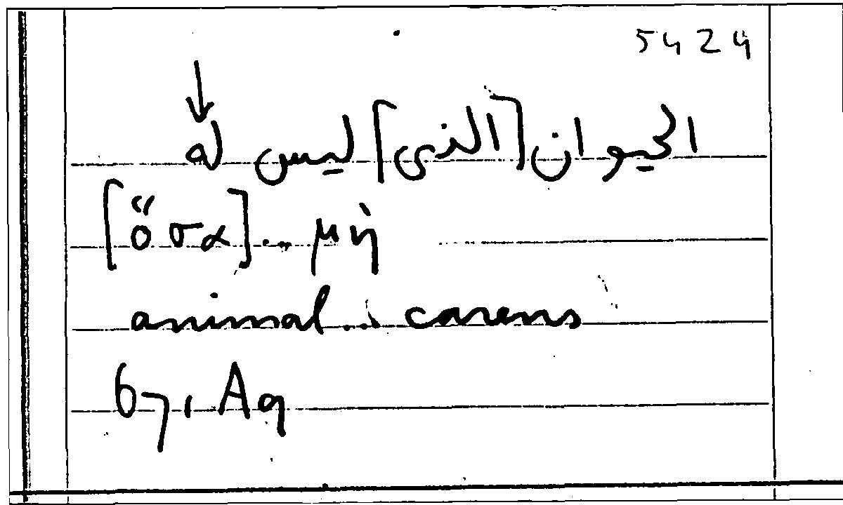 Filecard Arist.Part-anim.40113