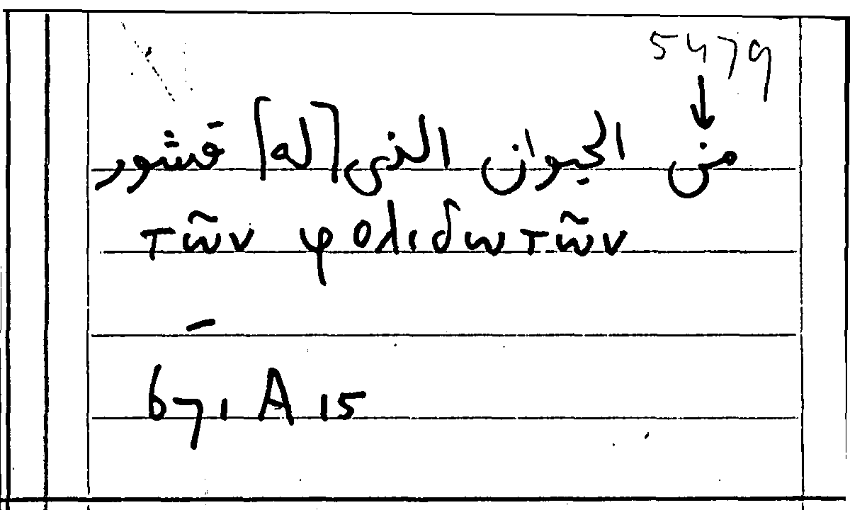 Filecard Arist.Part-anim.40117