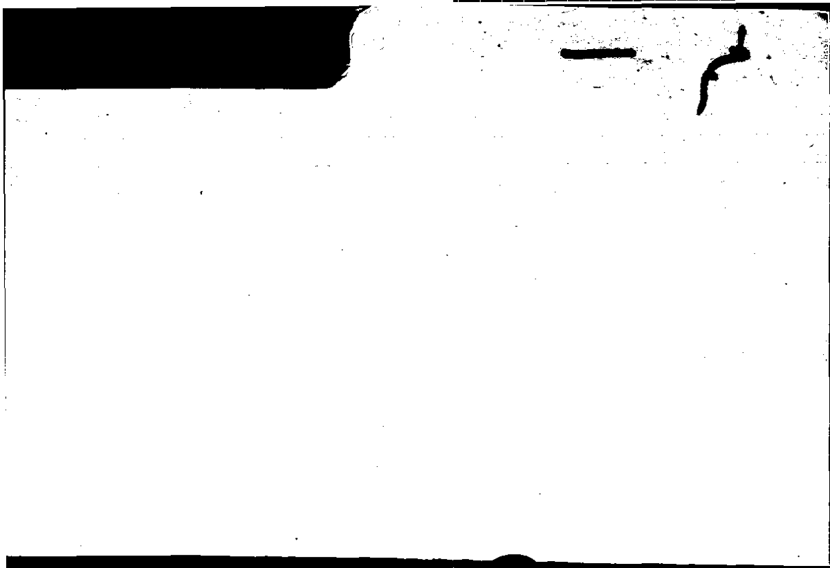Filecard Arist.Part-anim.40268