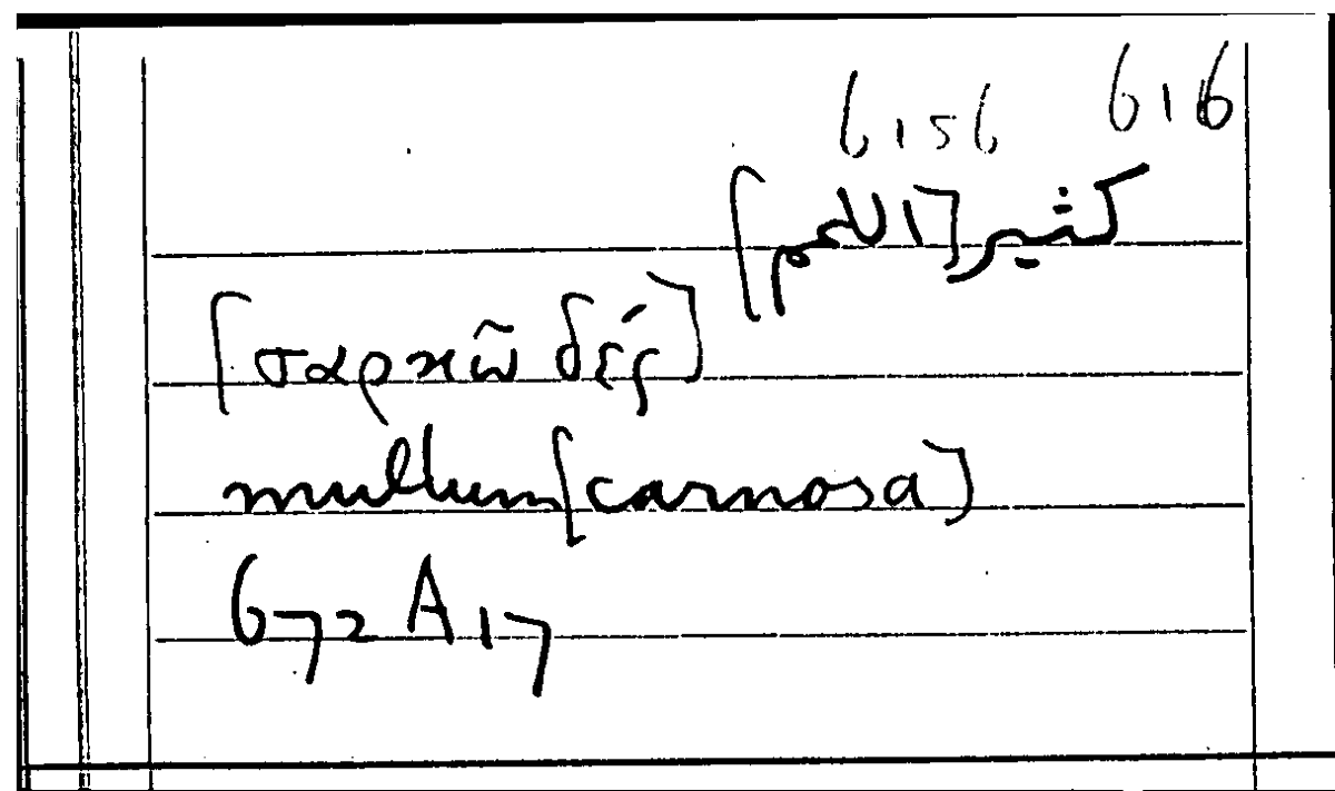 Filecard Arist.Part-anim.40270