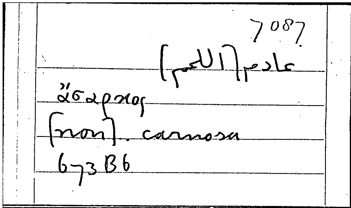Filecard Arist.Part-anim.40295