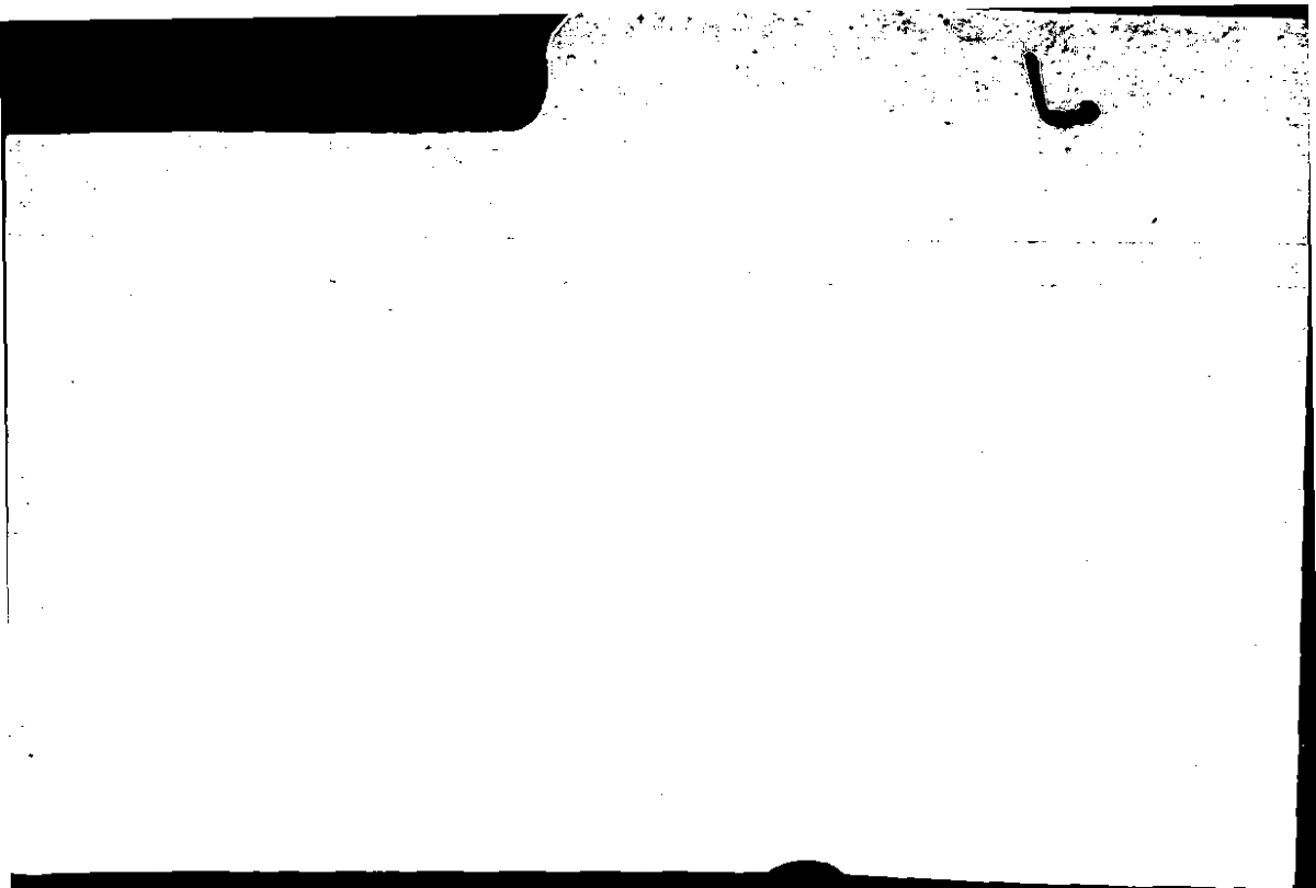 Filecard Arist.Part-anim.40490
