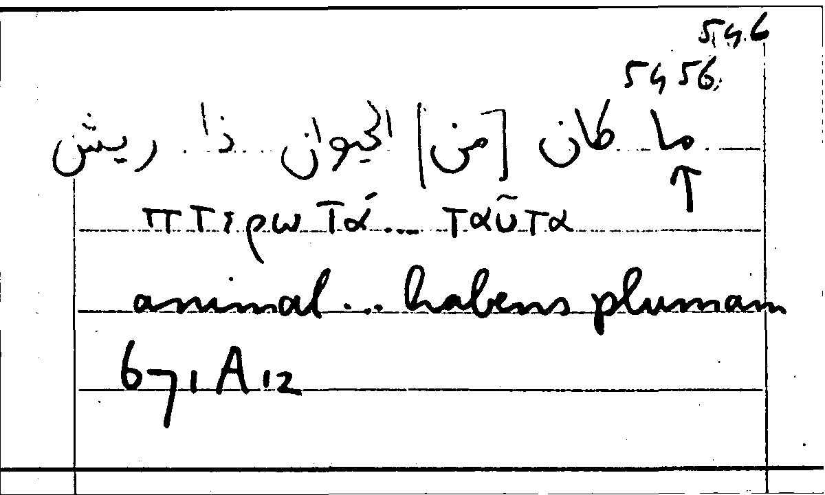Filecard Arist.Part-anim.40534