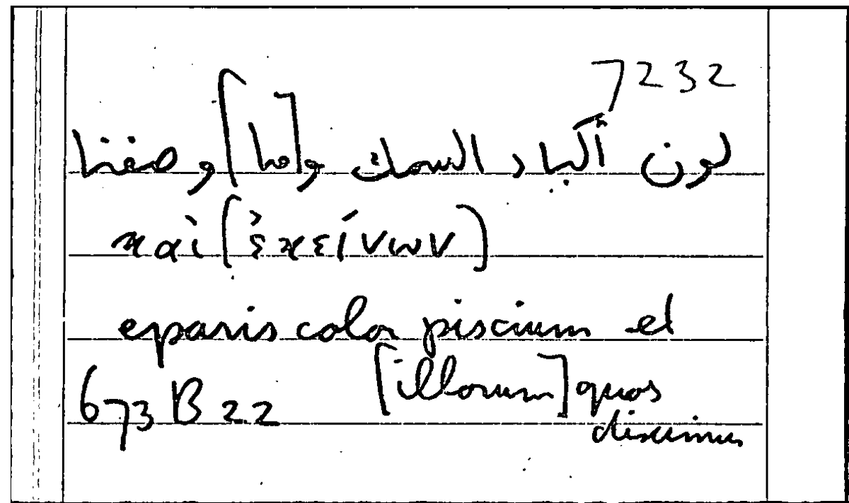 Filecard Arist.Part-anim.40548