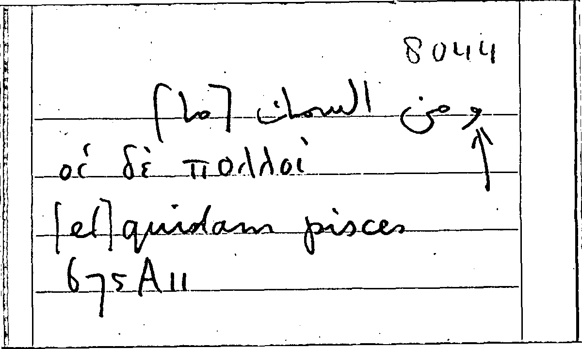 Filecard Arist.Part-anim.40560