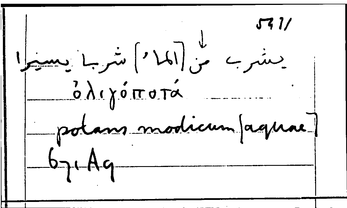 Filecard Arist.Part-anim.40578