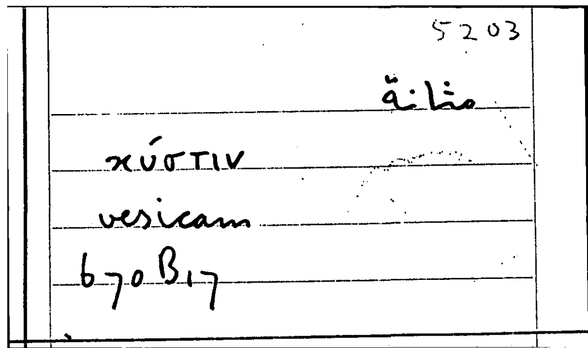 Filecard Arist.Part-anim.40698