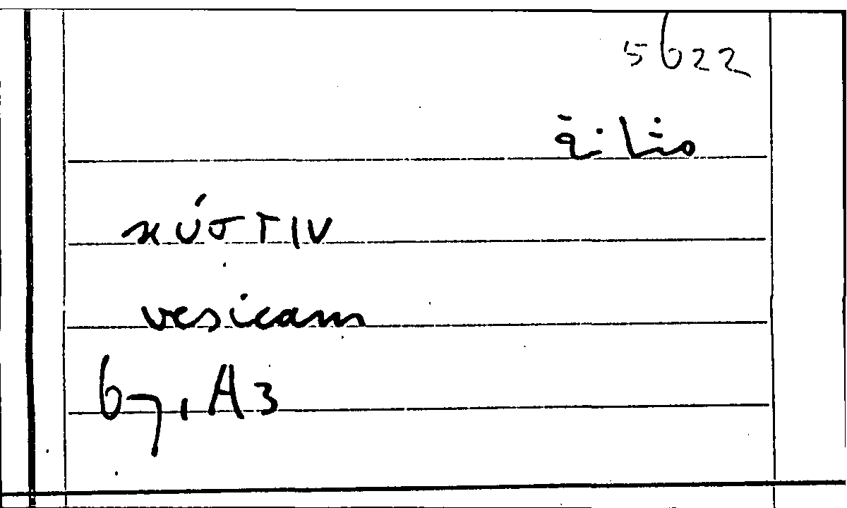 Filecard Arist.Part-anim.40705