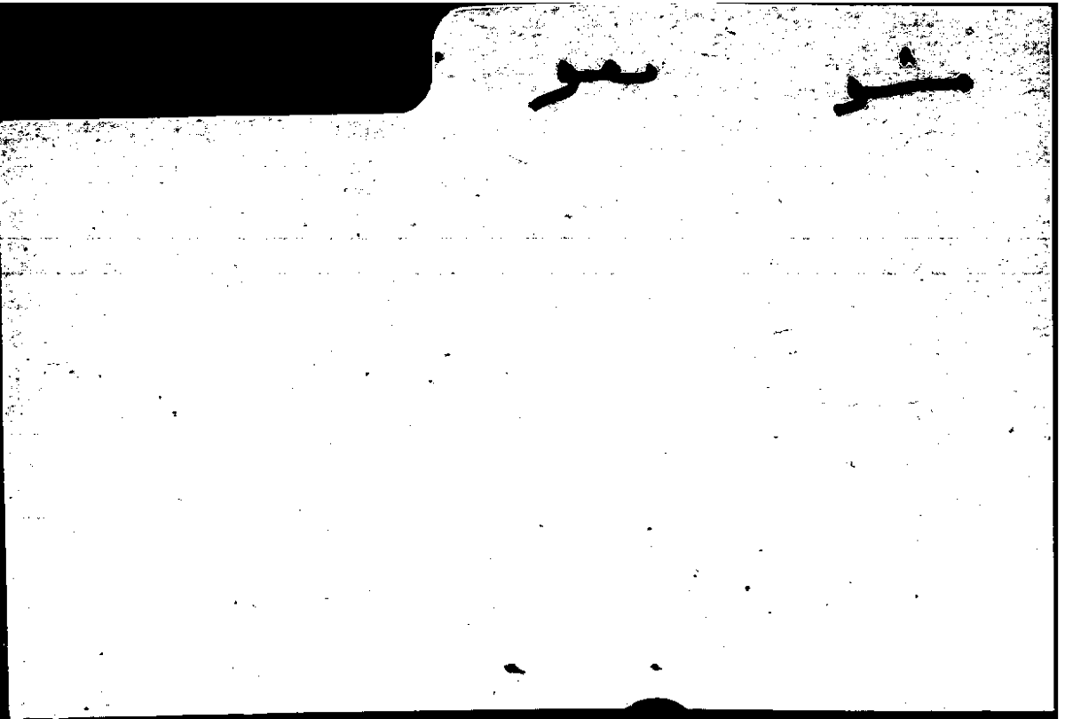 Filecard Arist.Part-anim.40765
