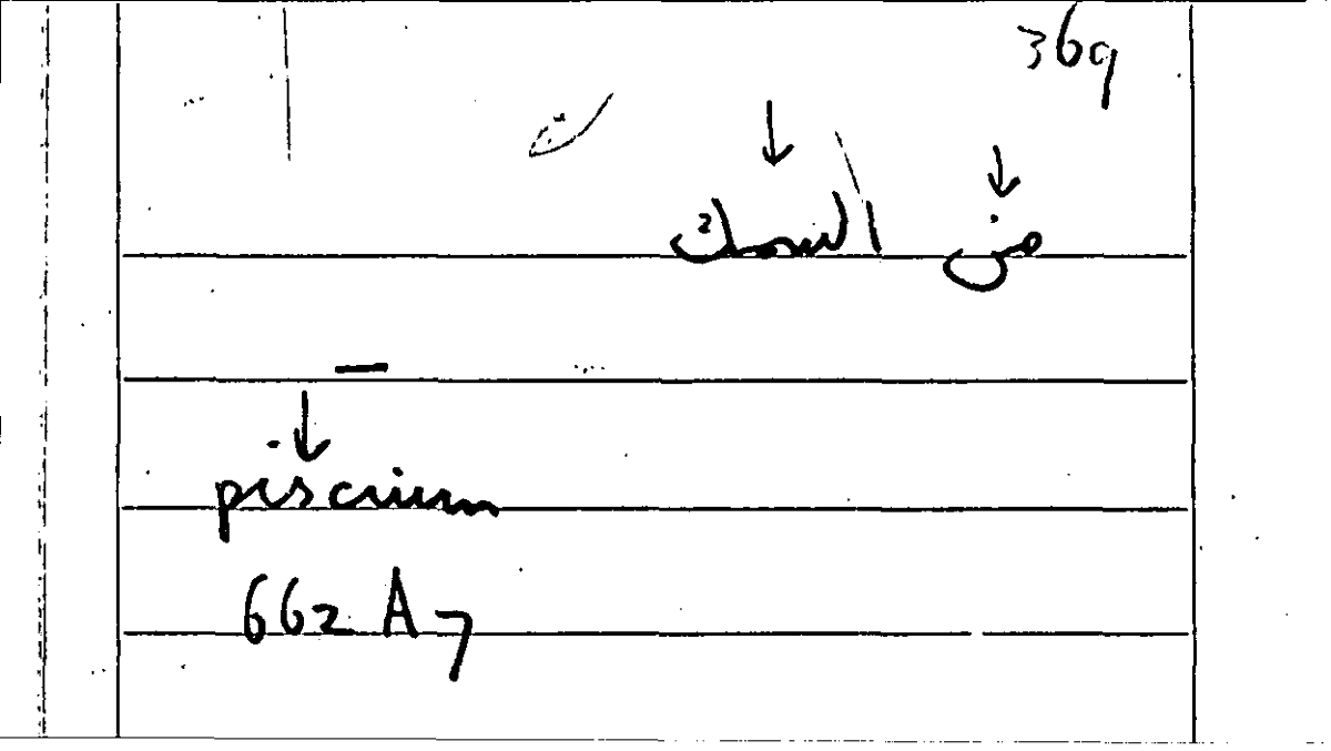 Filecard Arist.Part-anim.40843