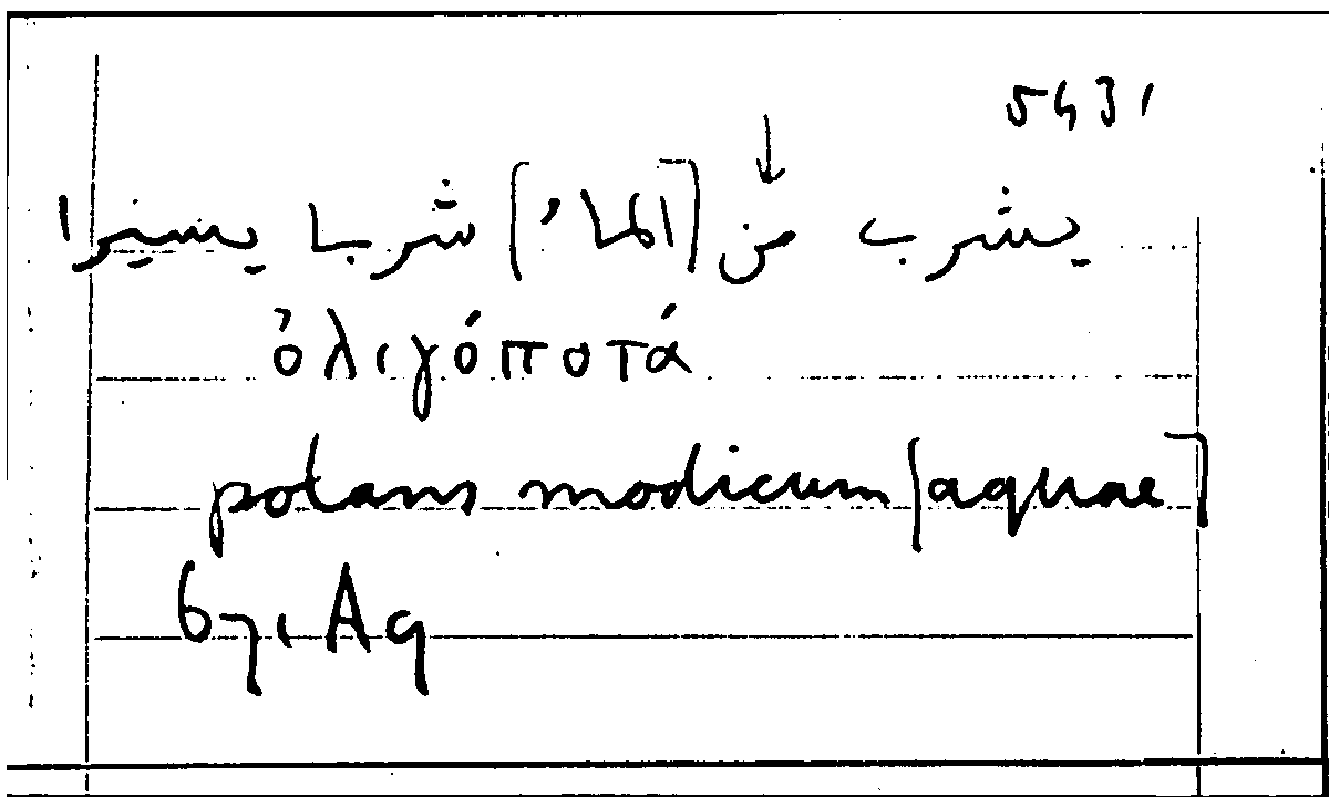 Filecard Arist.Part-anim.40972