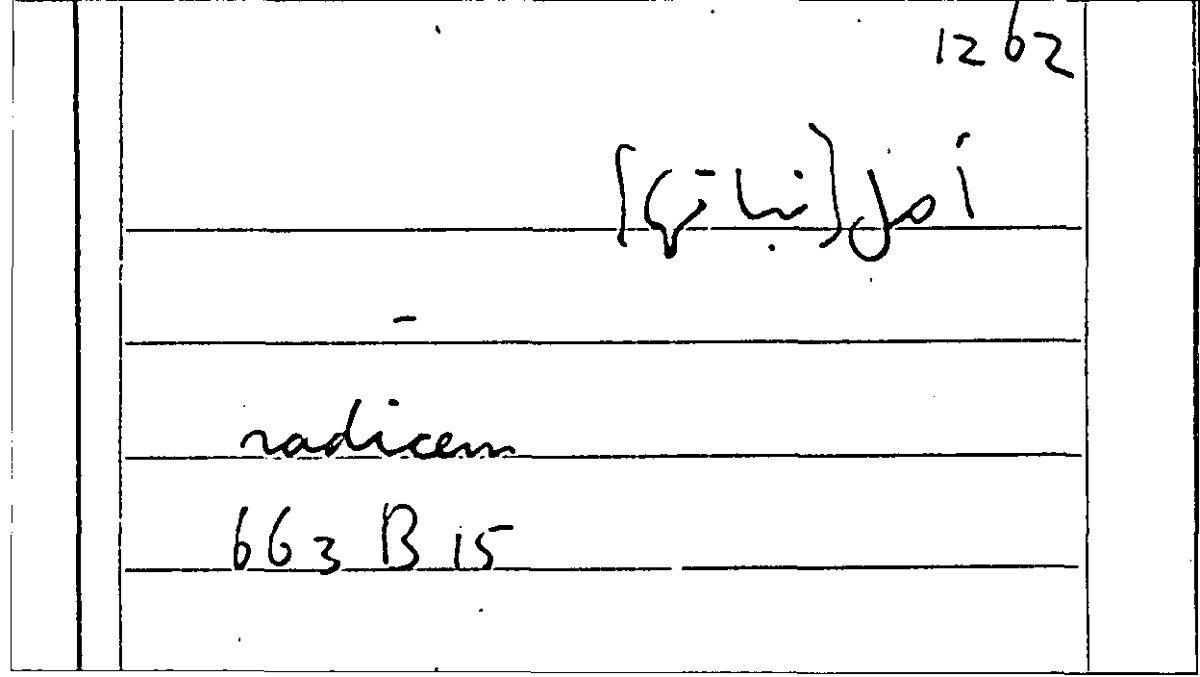 Filecard Arist.Part-anim.41133