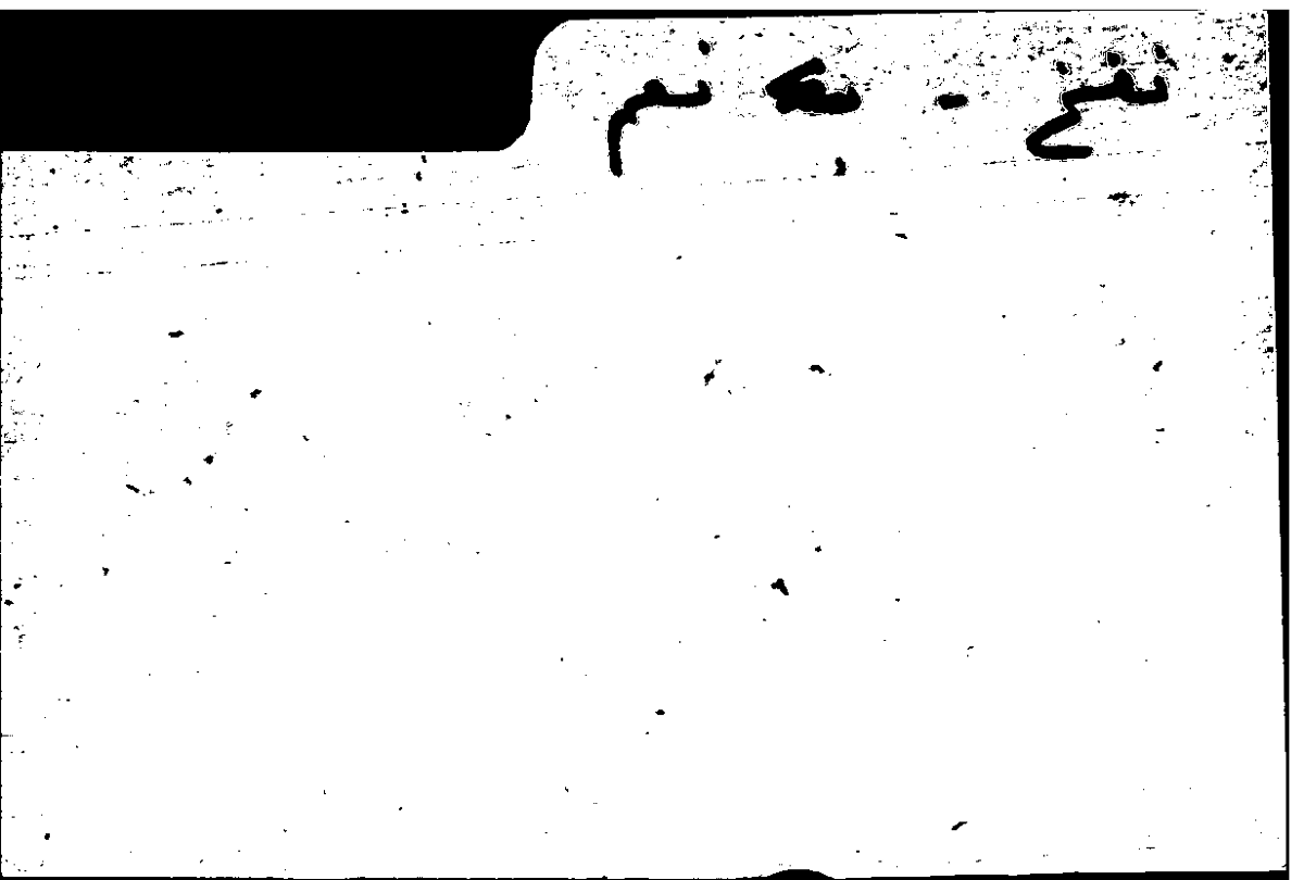 Filecard Arist.Part-anim.41248