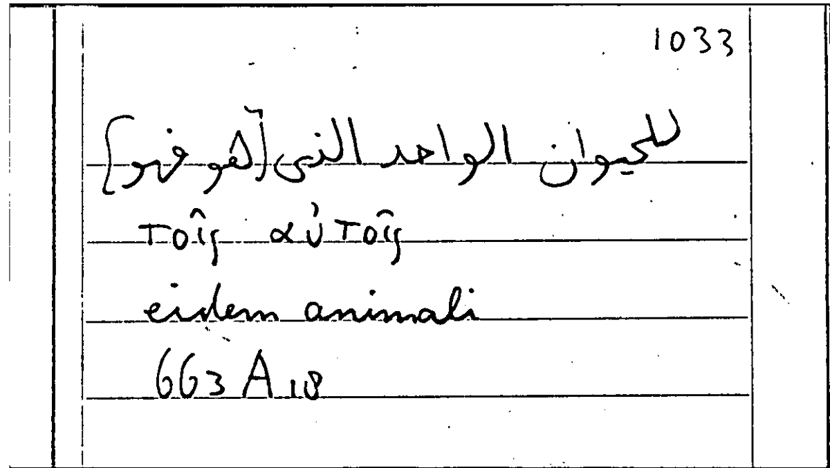 Filecard Arist.Part-anim.41521