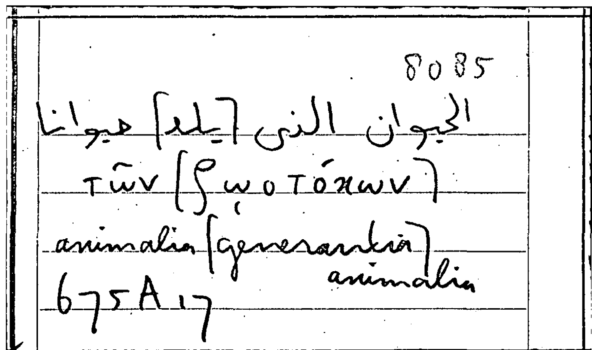 Filecard Arist.Part-anim.42197