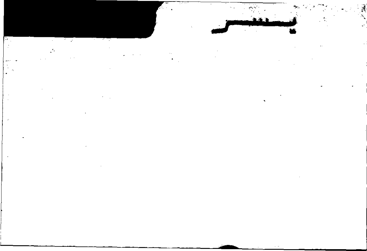 Filecard Arist.Part-anim.42249