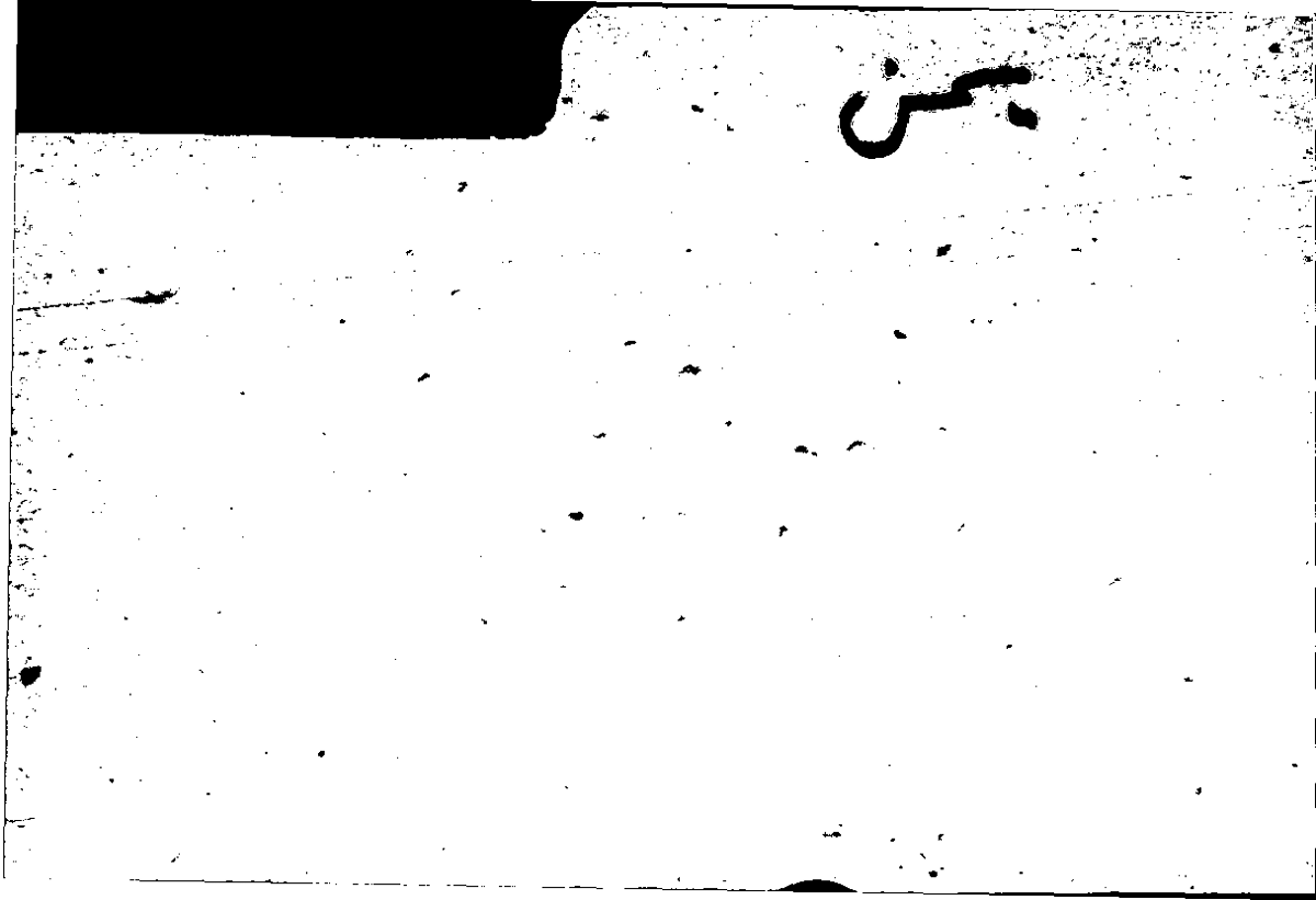 Filecard Arist.Part-anim.42273
