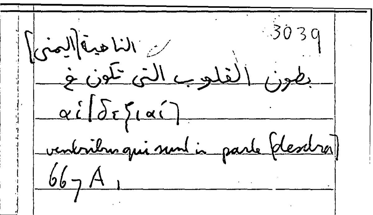 Filecard Arist.Part-anim.42284