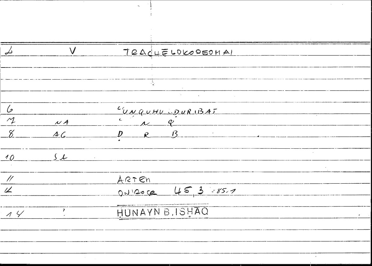 Filecard Artem.Onirocr.07104