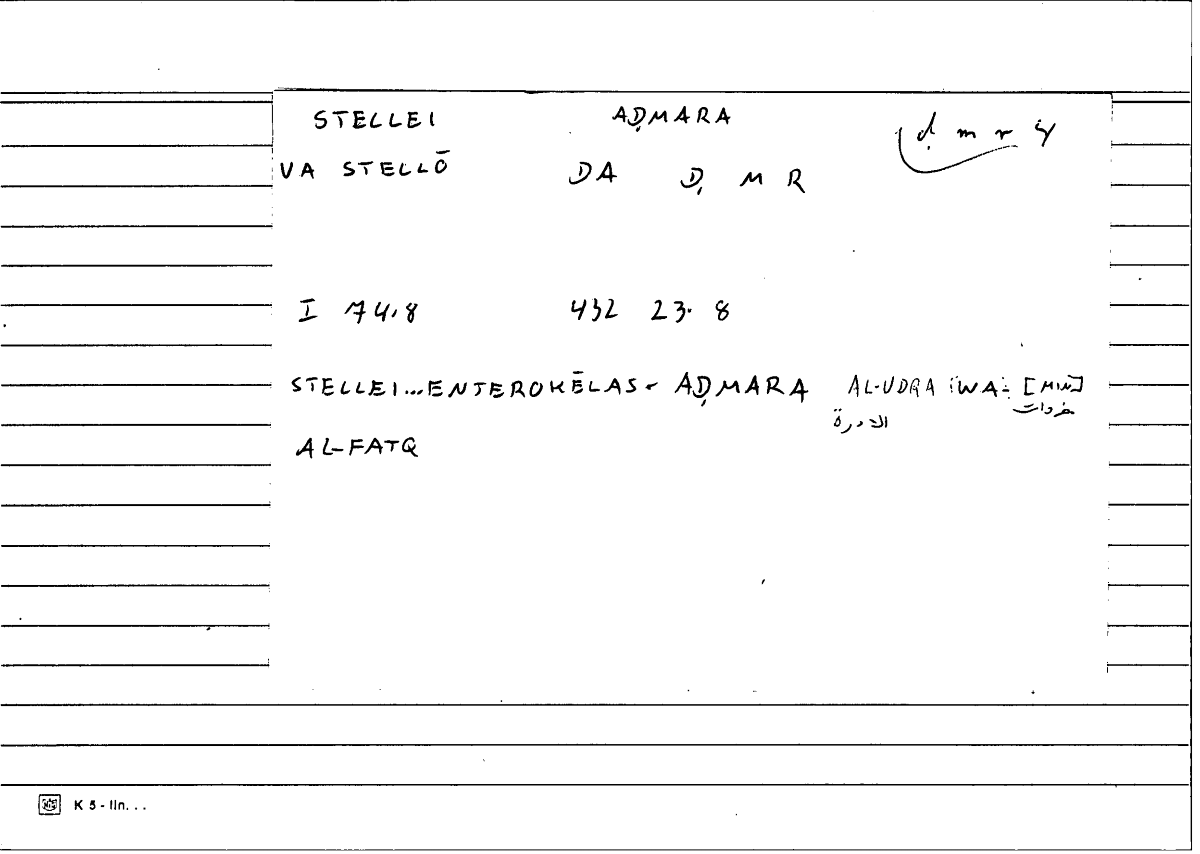 Filecard Diosc.Mat-med.1199