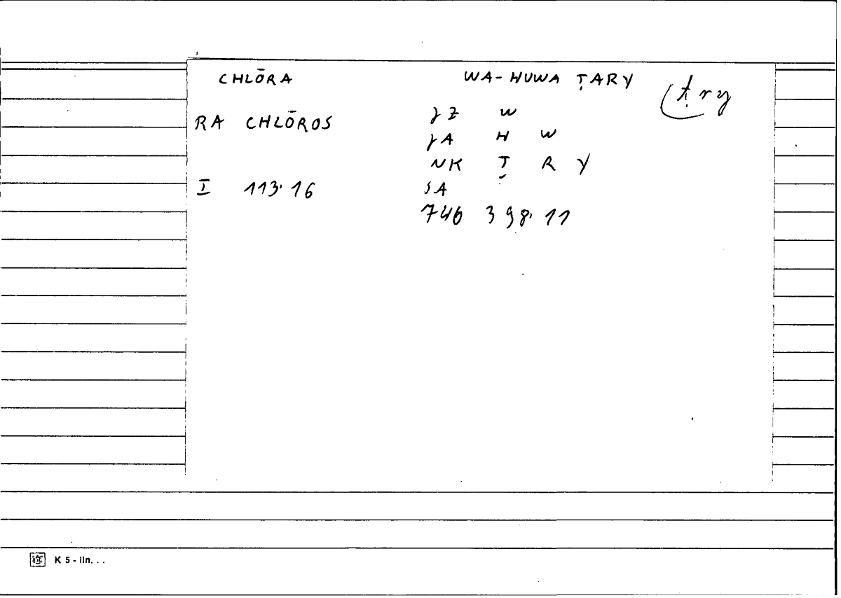 Filecard Diosc.Mat-med.1262