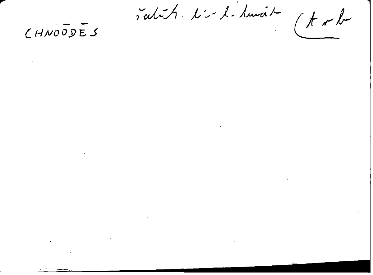 Filecard Diosc.Mat-med.1317
