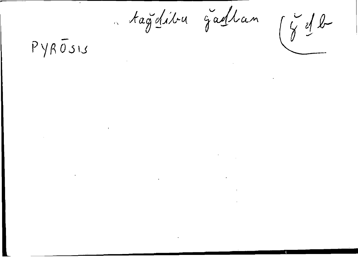 Filecard Diosc.Mat-med.1395