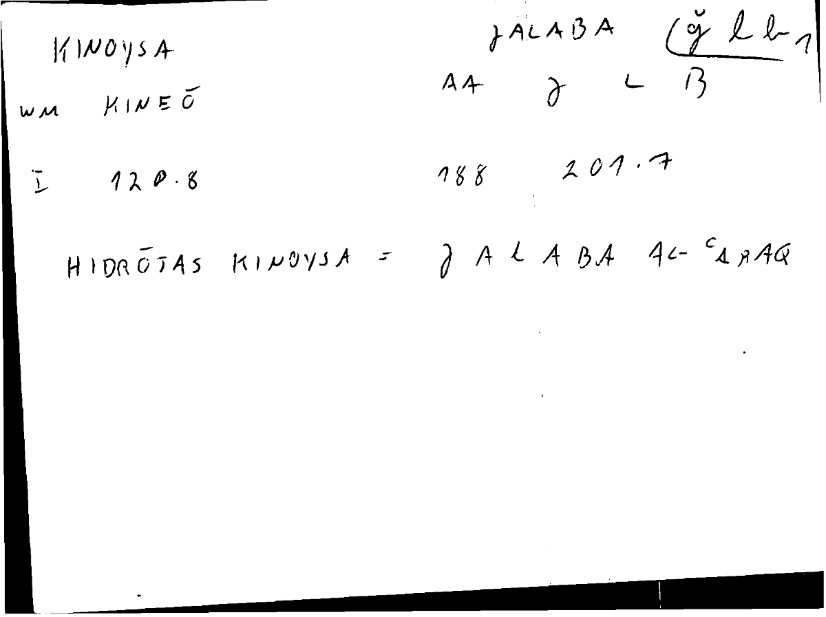 Filecard Diosc.Mat-med.1441