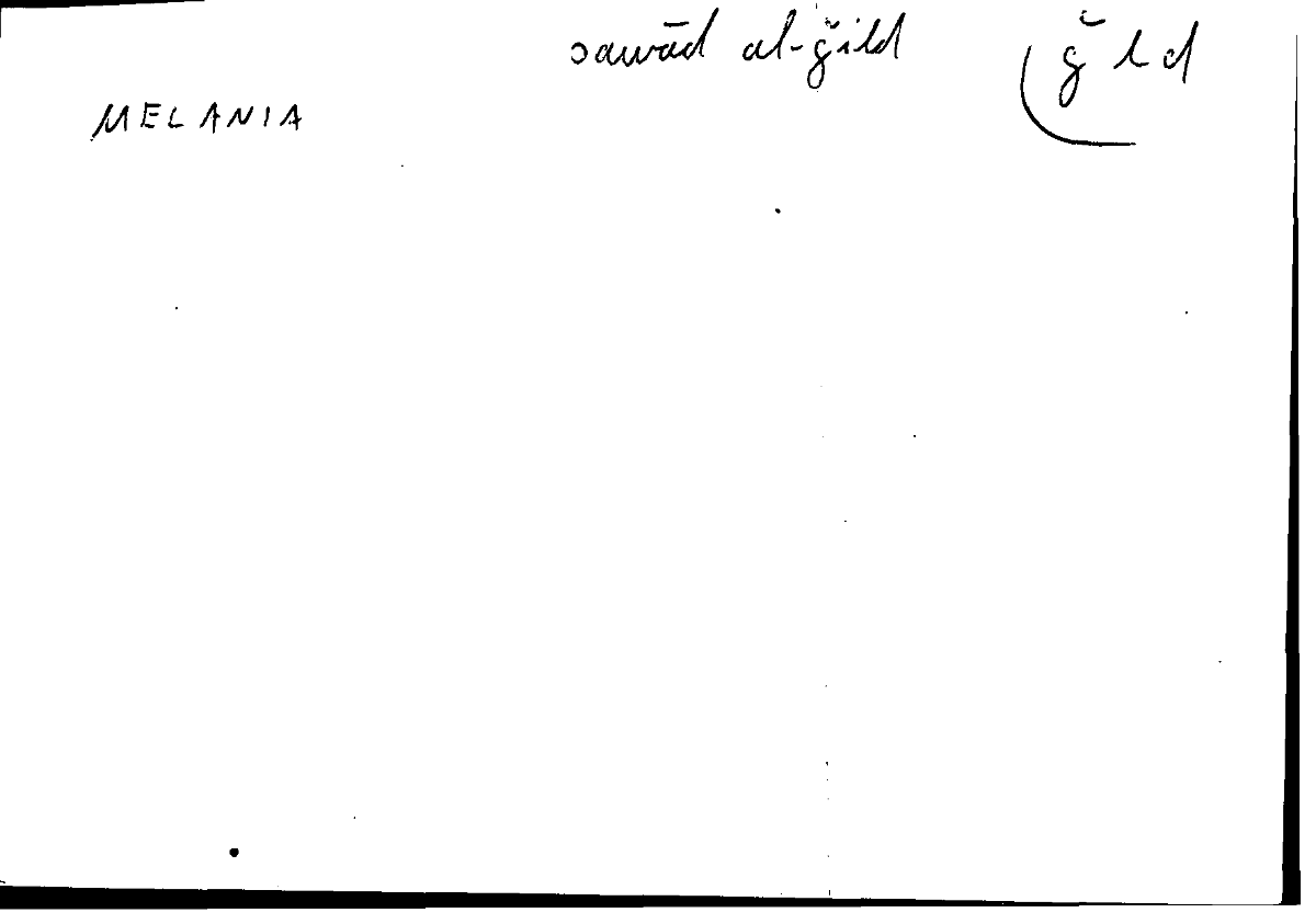 Filecard Diosc.Mat-med.1447