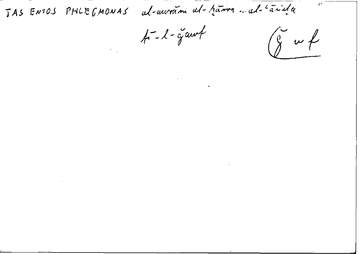 Filecard Diosc.Mat-med.1521