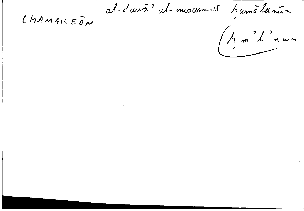 Filecard Diosc.Mat-med.1693