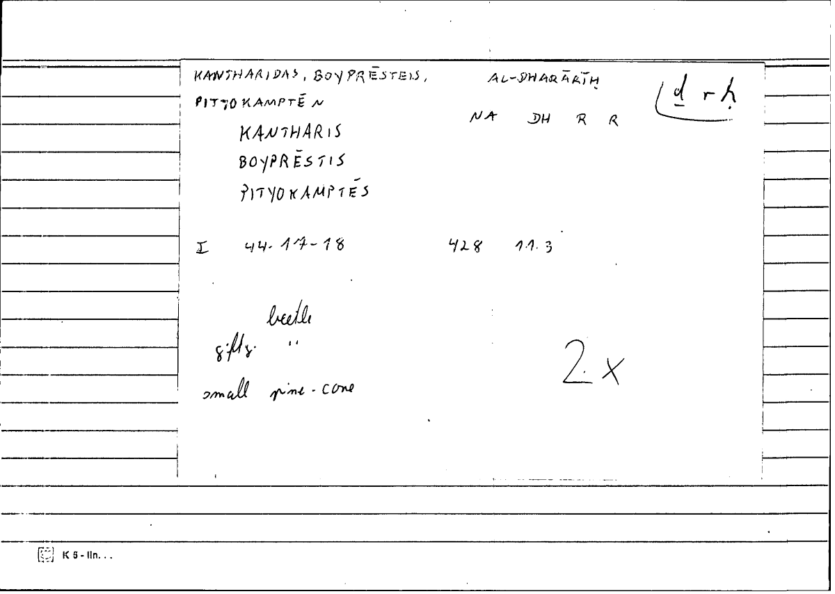 Filecard Diosc.Mat-med.2096
