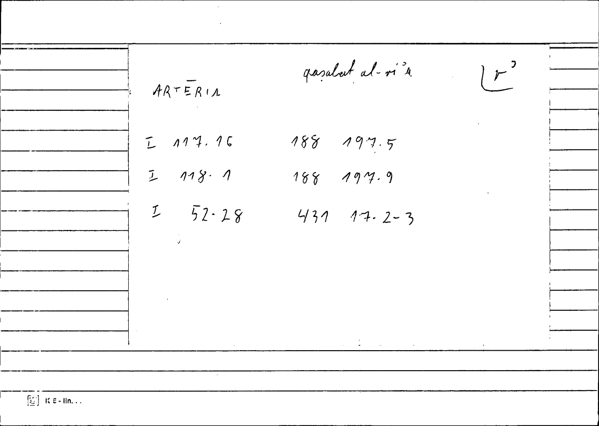 Filecard Diosc.Mat-med.2119