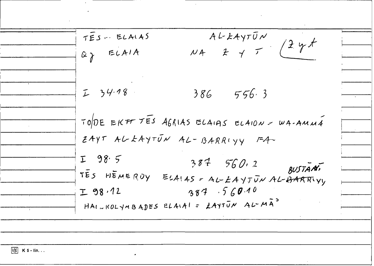 Filecard Diosc.Mat-med.3175