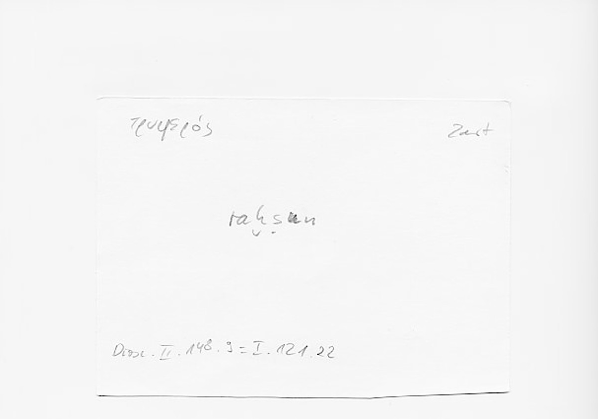 Filecard Diosc.Mat-med.4038