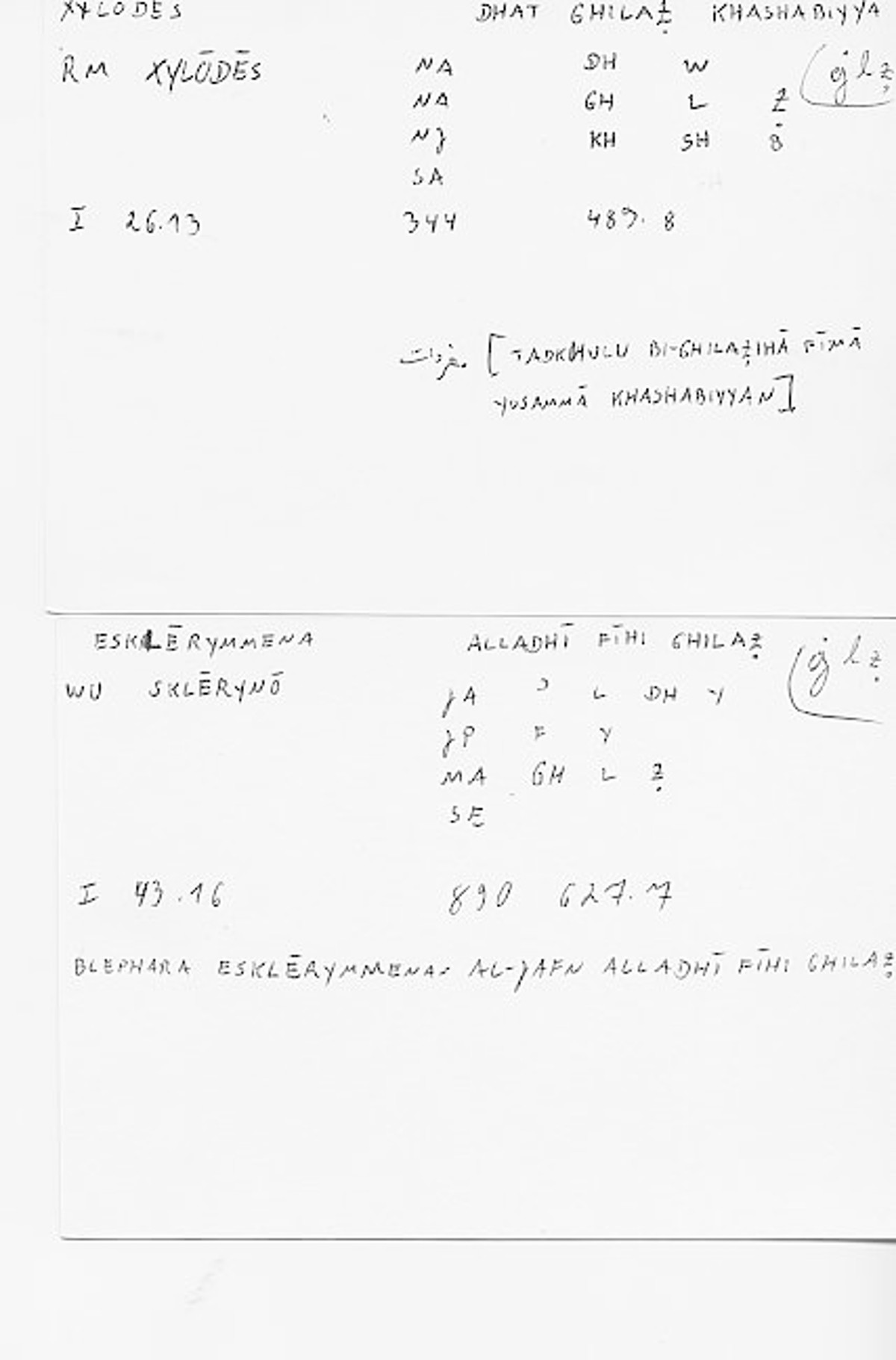 Filecard Diosc.Mat-med.4183