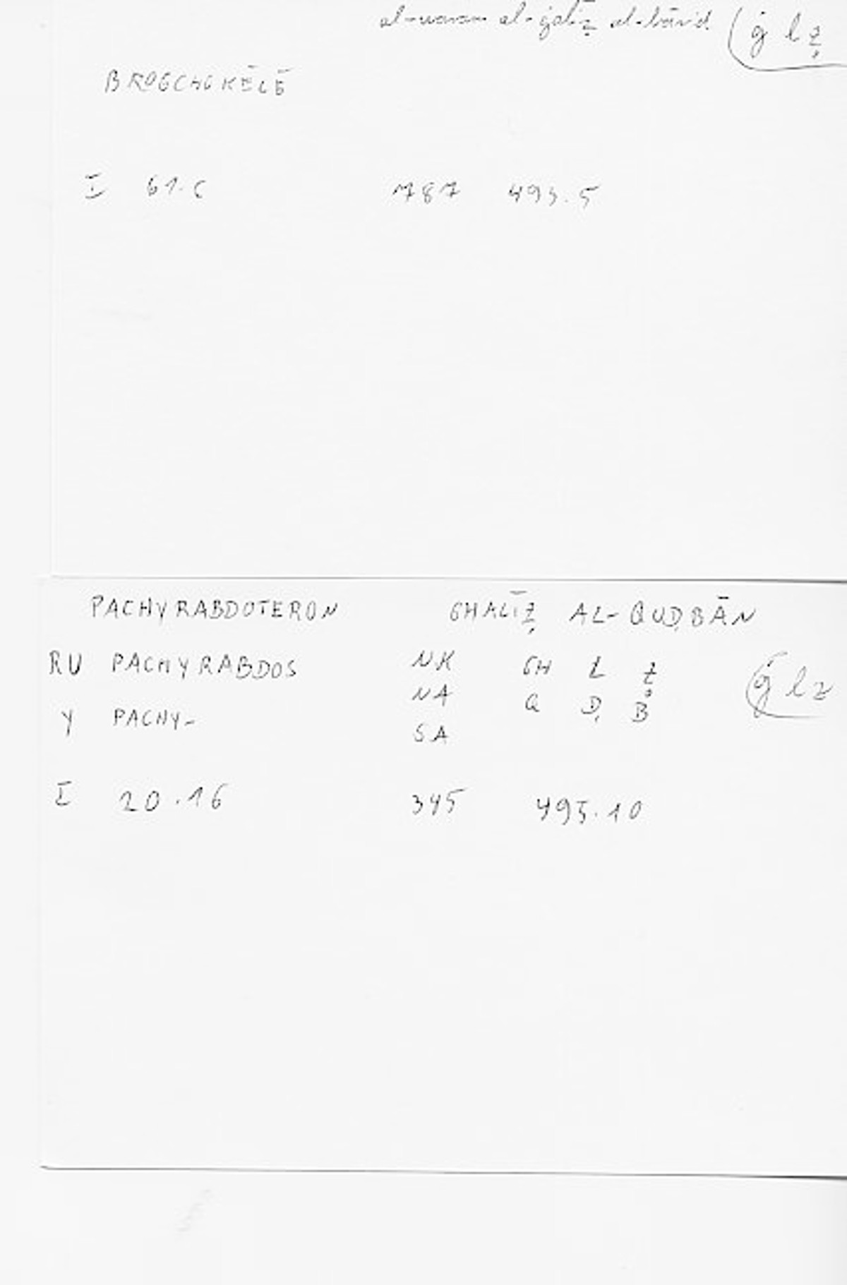 Filecard Diosc.Mat-med.4184