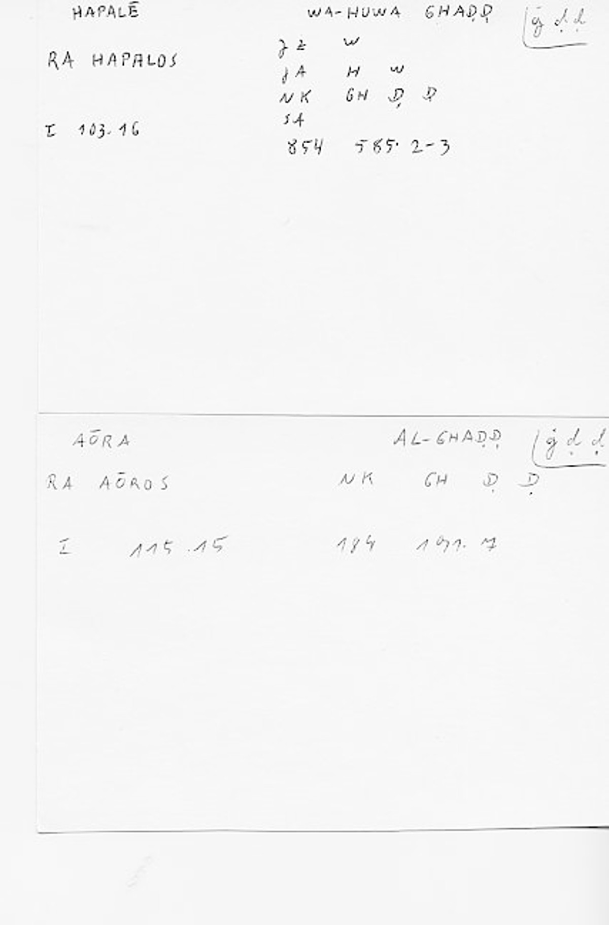 Filecard Diosc.Mat-med.4208