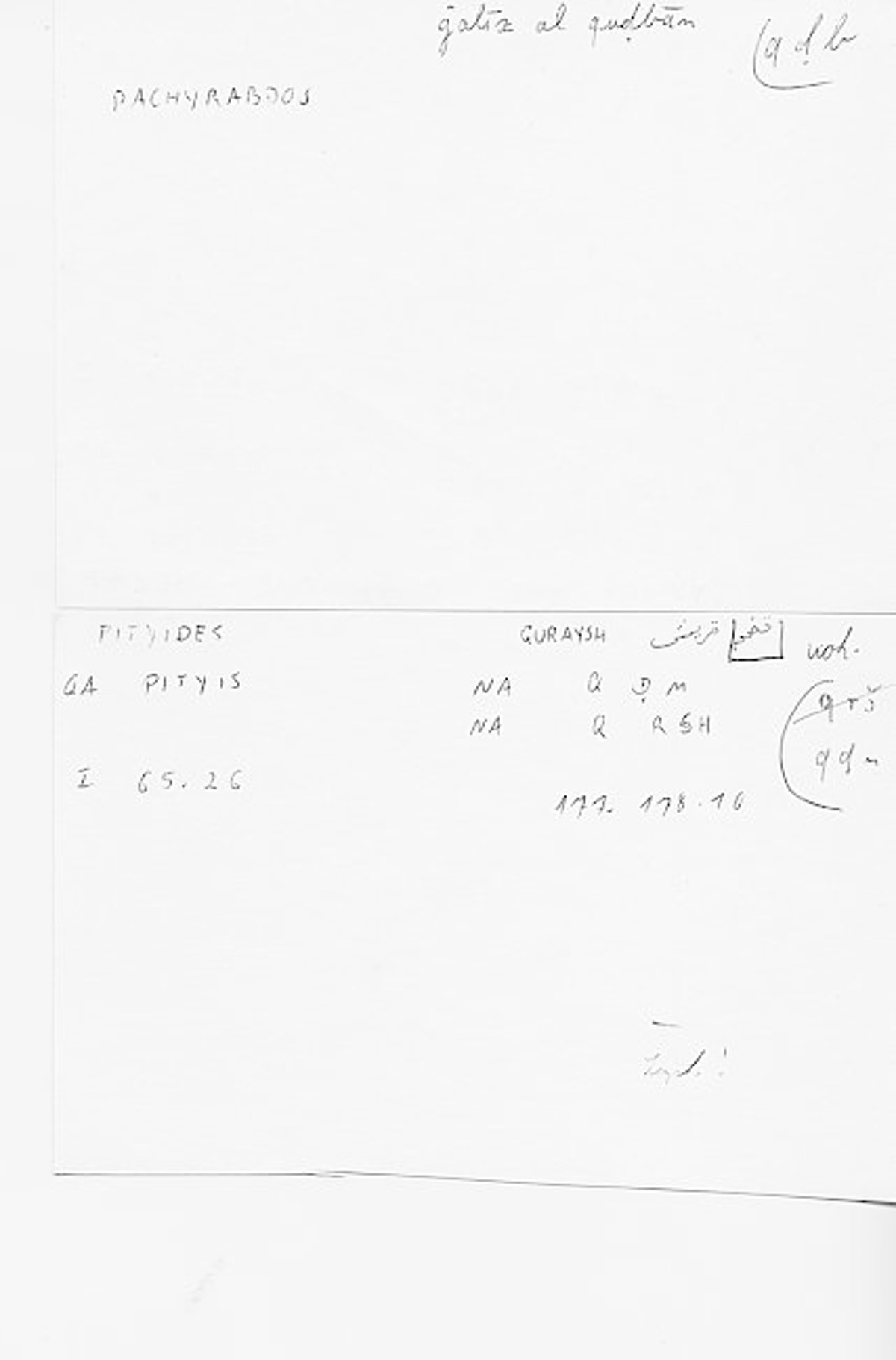 Filecard Diosc.Mat-med.4366