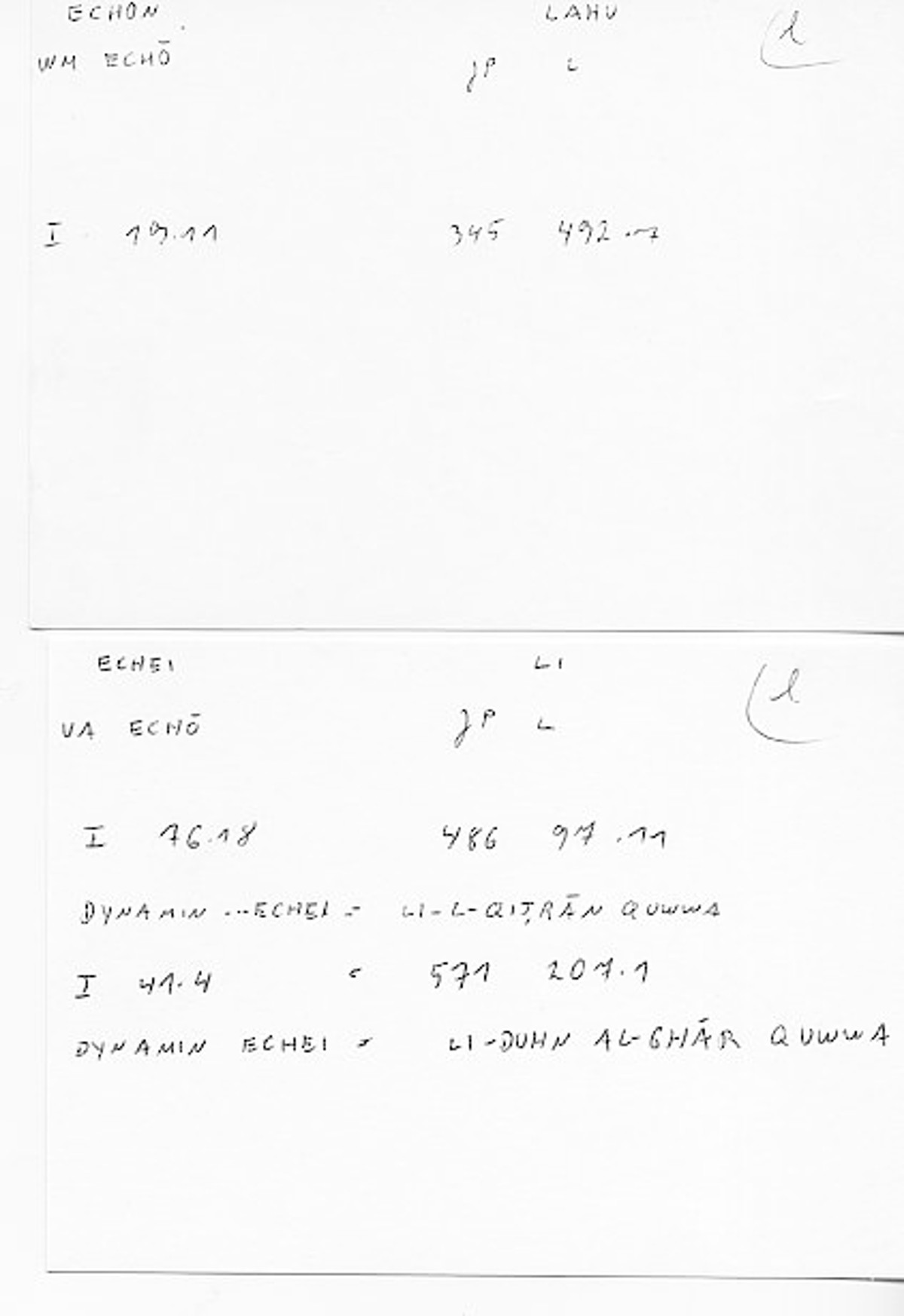 Filecard Diosc.Mat-med.4457