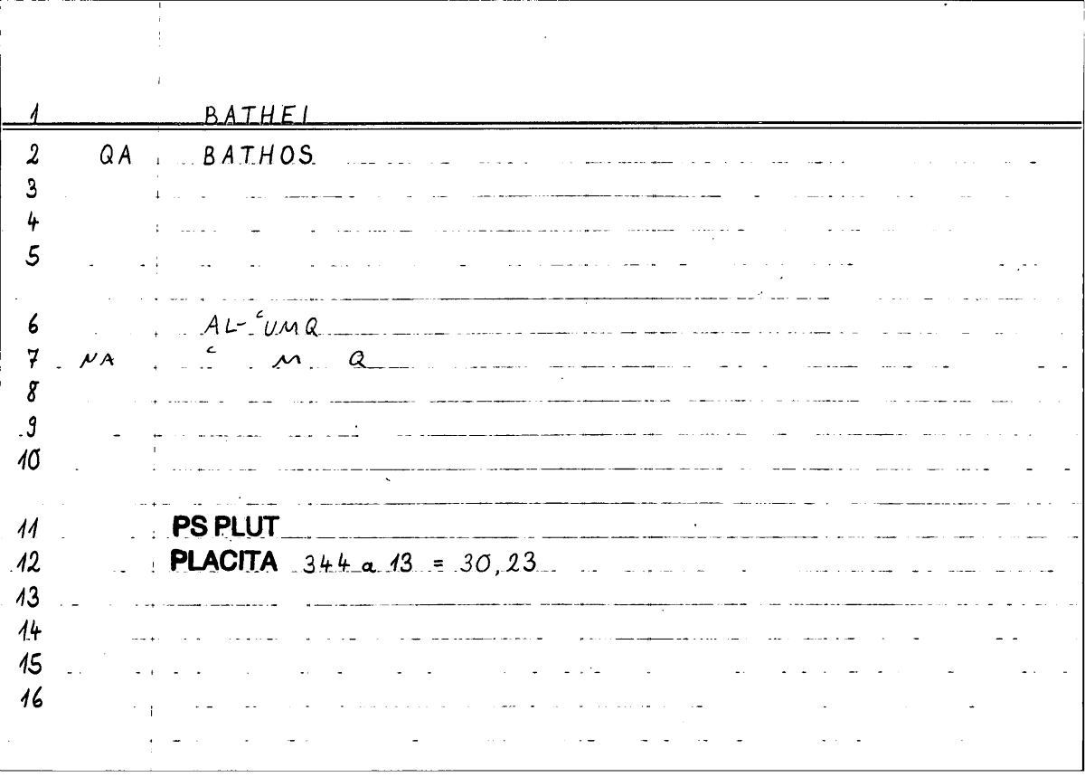 Filecard Ps-Plut.Placita.3162