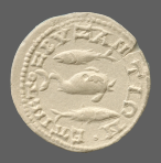 cn coin 873