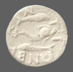 cn coin 1120