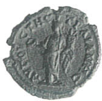 cn coin 14229