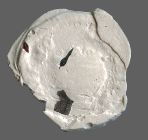 cn coin 14554