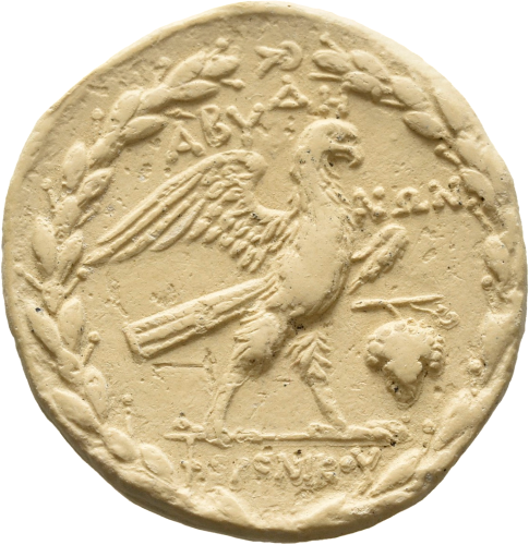 cn coin 15124