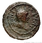 cn coin 15219