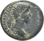 cn coin 15554